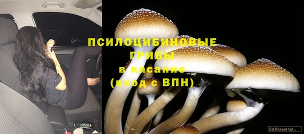 ECSTASY Бугульма