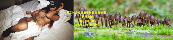 ECSTASY Бугульма