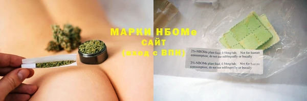 амф Бородино