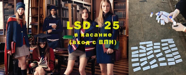 амф Бородино