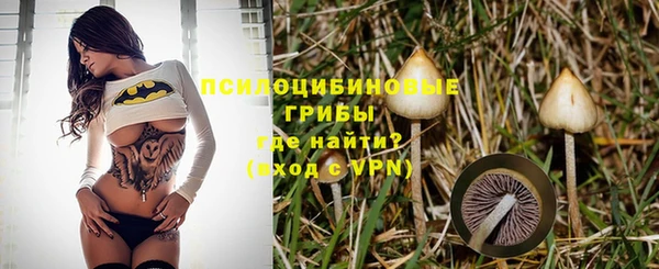 ECSTASY Бугульма