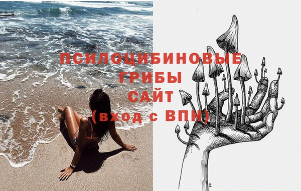амф Бородино
