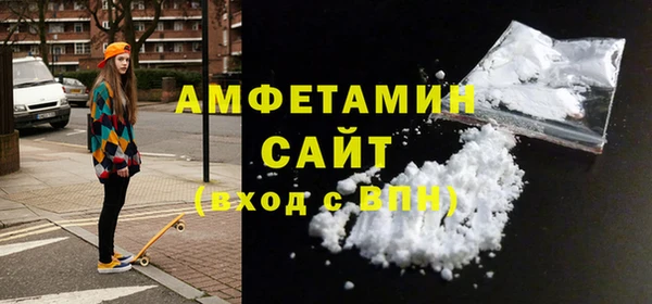 амф Бородино