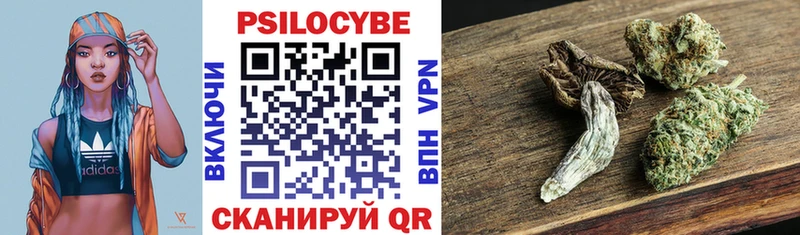 Купить где  Менделеевск  Псилоцибиновые грибы Psilocybe 
